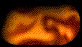 Bitmap Image