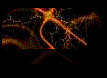 Bitmap Image